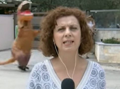 Επικό : Ενας… δεινόσαυρος έτρεχε πίσω από την ρεπόρτερ της ΕΡΤ!