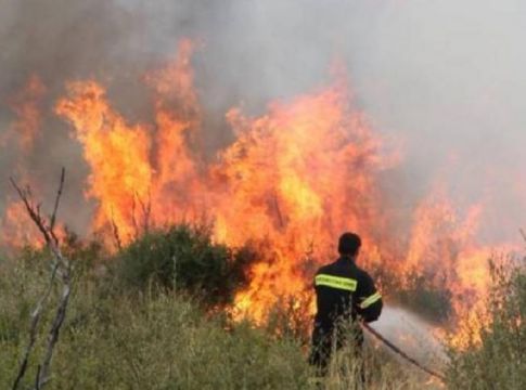 Μάχη της Πυροσβεστικής με τη φωτιά στην Κάρυστο – Κινδύνευσαν σπίτια στην Κνωσό