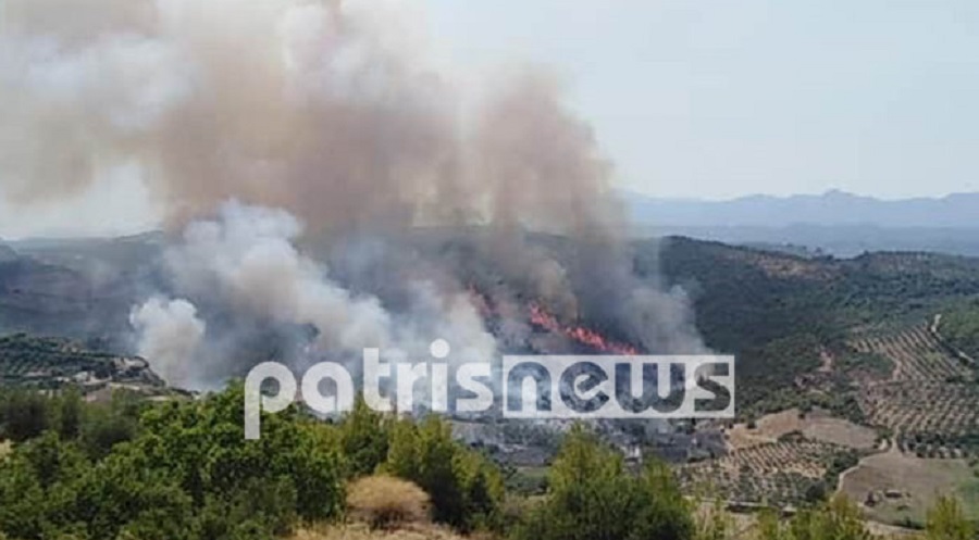 Πύρινος εφιάλτης στην Ηλεία : Ανεξέλεγκτη η φωτιά – Απειλούνται χωριά της Αρχαίας Ολυμπίας