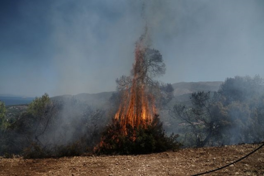 Μάχη με τις φλόγες σε Κεχριές και Αρχαία Ολυμπία