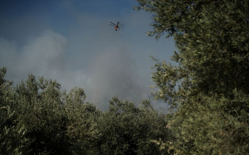 Φωτιές: Για πέμπτη ημέρα καίνε οι Κεχριές – Υψηλός κίνδυνος πυρκαγιάς την Κυριακή