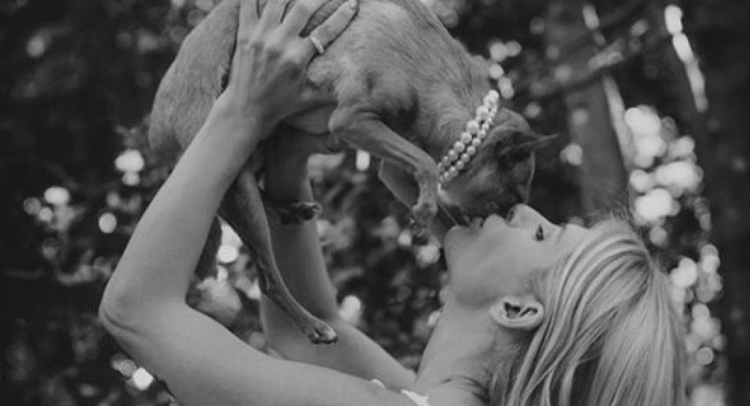 My Style Rocks : Η Ευρυδίκη Παπαδοπούλου παντρεύτηκε τον… σκύλο της (pics)