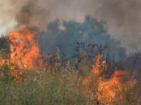 Μεγάλη φωτιά στη Λούτσα