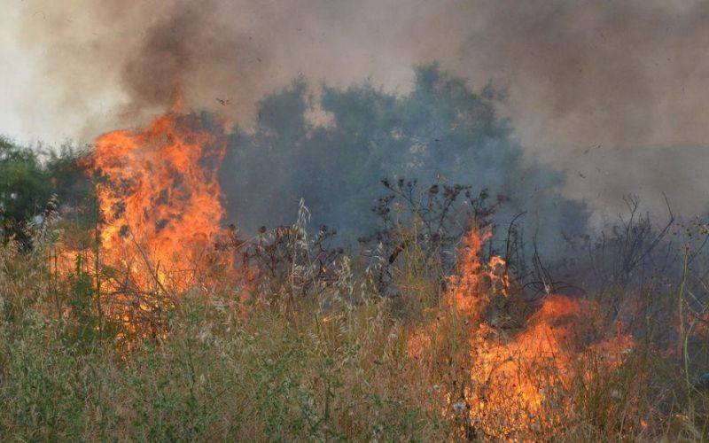 Μεγάλη φωτιά στη Λούτσα