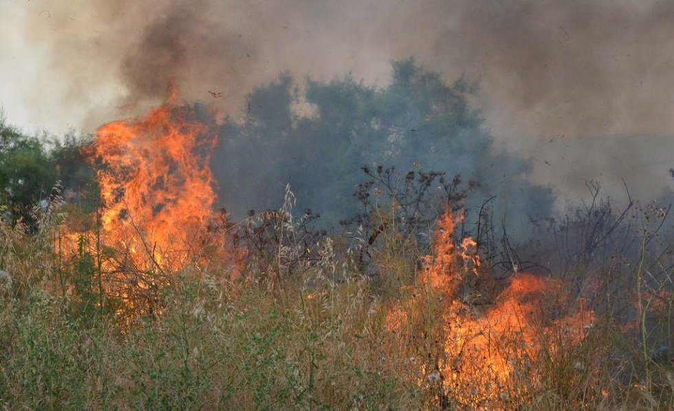 Μεγάλη φωτιά στη Λούτσα