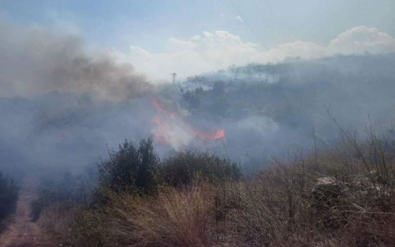 Μεγάλη πυρκαγιά στη Μεγαλόπολη