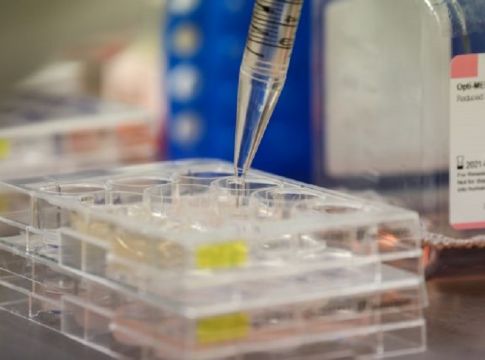 Reuters : Κοντά σε νέο μοριακό τεστ για τον κορωνοϊό βρίσκονται έλληνες ερευνητές
