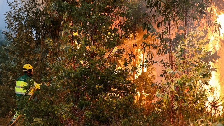 Πορτογαλία : Μάχη με τις φλόγες δίνουν οι πυροσβέστες – Εκκενώθηκαν σπίτια