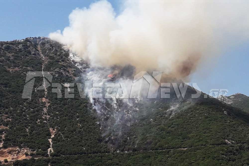 Φωτιά στην Πρέβεζα – Συναγερμός στην Πυροσβεστική