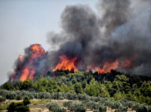 Δραματική η κατάσταση στις Κεχριές : Εκκενώνεται το Σοφικό – Σε κατάσταση έκτακτης η αν. Κορινθία