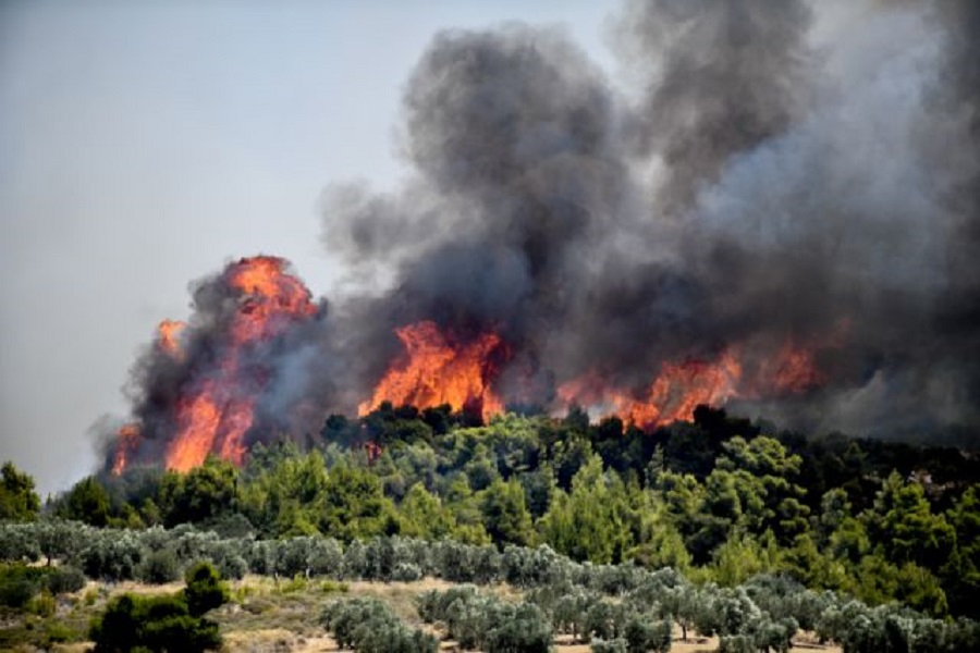 Δραματική η κατάσταση στις Κεχριές : Εκκενώνεται το Σοφικό – Σε κατάσταση έκτακτης η αν. Κορινθία