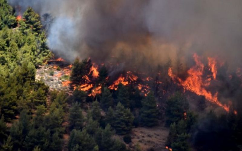 ΓΓΠΠ : Υψηλός ο κίνδυνος πυρκαγιάς σήμερα σε αρκετές περιοχές της χώρας