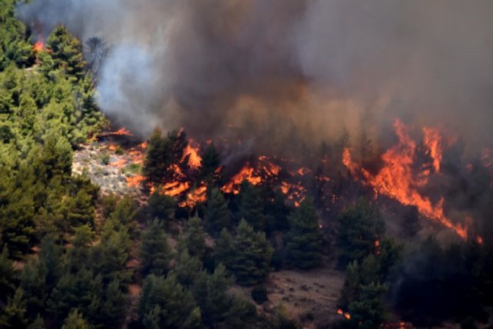 ΓΓΠΠ : Υψηλός ο κίνδυνος πυρκαγιάς σήμερα σε αρκετές περιοχές της χώρας
