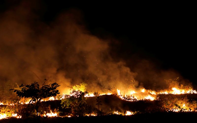 Βραζιλία : Φλέγεται πάλι ο Αμαζόνιος – Ρεκόρ πυρκαγιών στο Παντανάλ