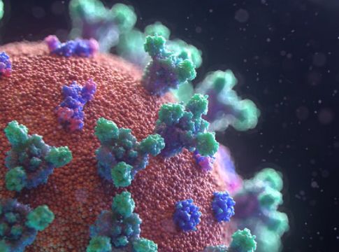 Όχι, νέα έρευνα ΔΕΝ αποδεικνύει πως τα ψηλά άτομα κινδυνεύουν περισσότερο από τον νέο κορωνοϊό