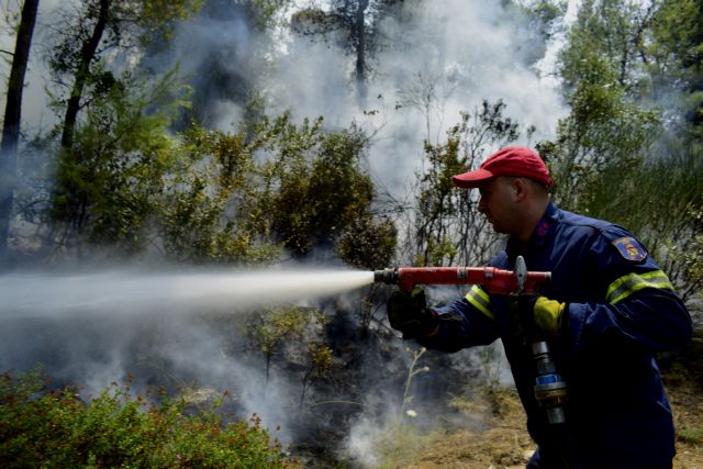 Φωτιά στον Κουβαρά – Δίπλα σε σπίτια οι φλόγες – Ισχυρές δυνάμεις της Πυροσβεστικής