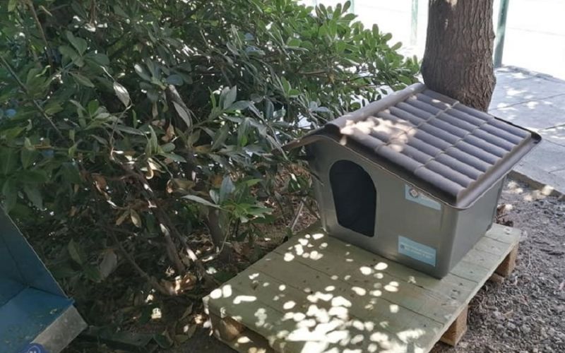 Δήμος Αθηναίων : Νέο πρόγραμμα για τα αδέσποτα – Τοποθετούνται σπιτάκια για γάτες