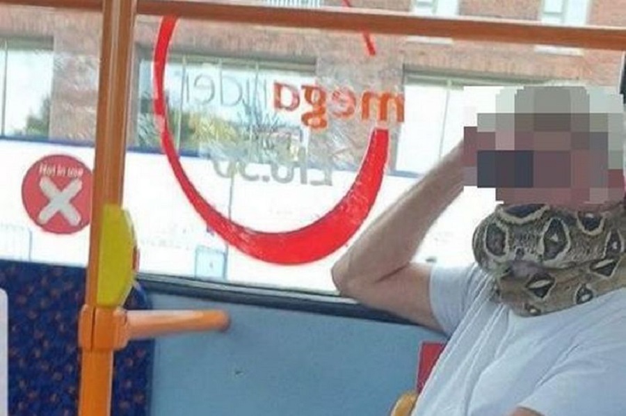 Βρετανία : Έβαλε ένα… φίδι αντί για μάσκα και μπήκε στο λεωφορείο