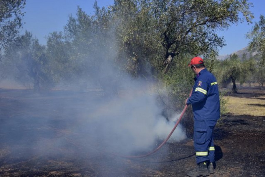 Συναγερμός στην Πυροσβεστική : Πυρκαγιά σε Φθιώτιδα και Ηλεία