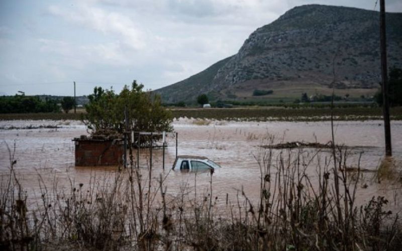 Σε απόγνωση οι αγρότες στα Φάρσαλα – Ολική καταστροφή στις καλλιέργειες