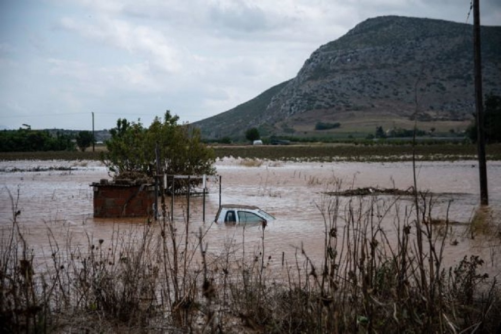 Σε απόγνωση οι αγρότες στα Φάρσαλα – Ολική καταστροφή στις καλλιέργειες