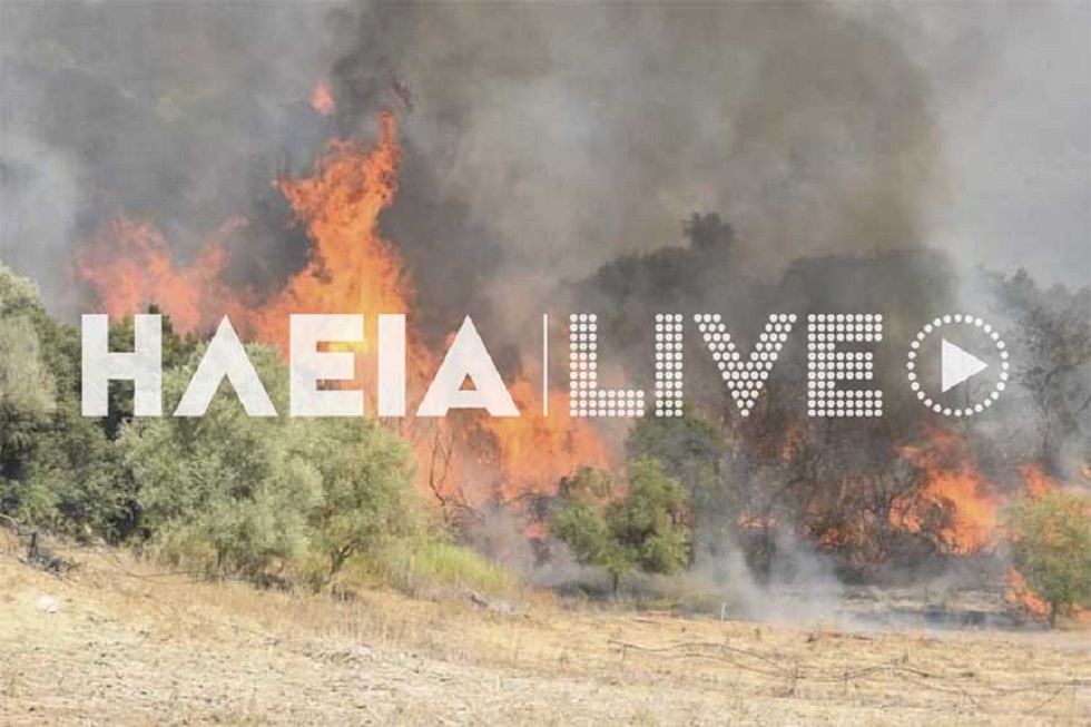 Ανεξέλεγκτη η φωτιά στον Κολοκυθά Ηλείας – Εκκενώνεται το χωριό Δάφνη