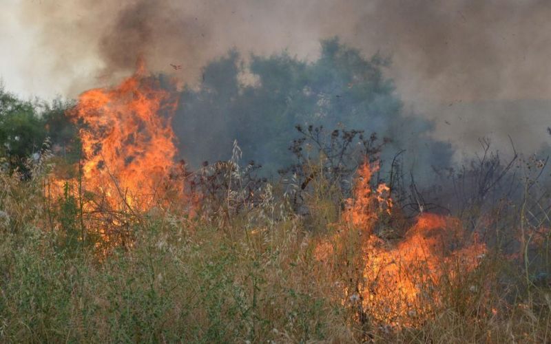 Συναγερμός στην Πυροσβεστική : Φωτιά στη Δυτική Αχαΐα