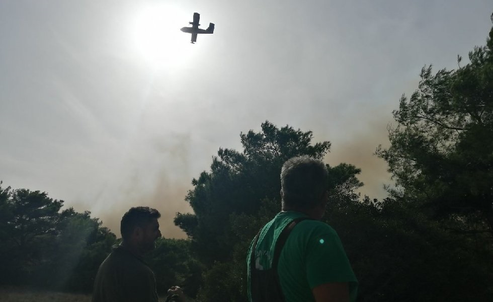 Ανεξέλεγκτη η φωτιά στη Ζάκυνθο – Εσπευσμένα στην περιοχή ο αρχηγός της Πυροσβεστικής