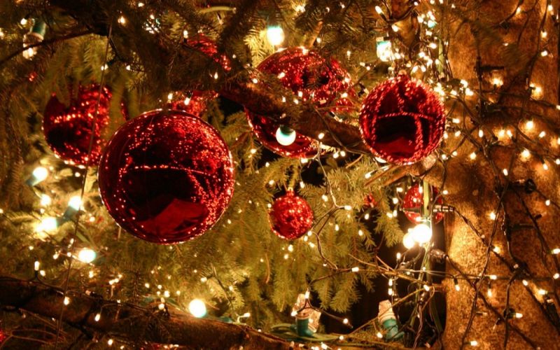 Παγώνη : Ξεχάστε ρεβεγιόν Χριστούγεννα και Πρωτοχρονιά – Αλλαγή χρονιάς μόνοι μας