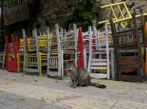 Σχέδιο επανεκκίνησης της χώρας μετά το lockdown : Οι ημερομηνίες κλειδιά για λιανεμπόριο και εστίαση
