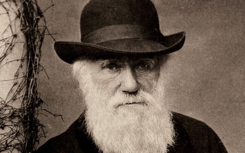 Ο Δαρβίνος δικαιώνεται για τα έντομα που δεν πετούν