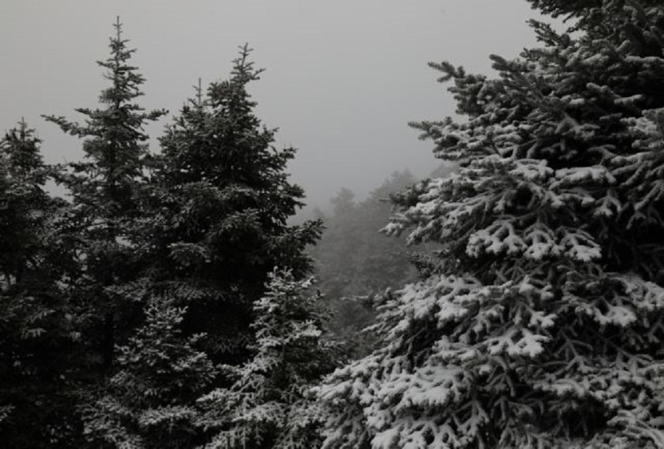«Λέανδρος» : Ισχυρό ψύχος και χιονοπτώσεις από το βράδυ της Παρασκευής [χάρτες]