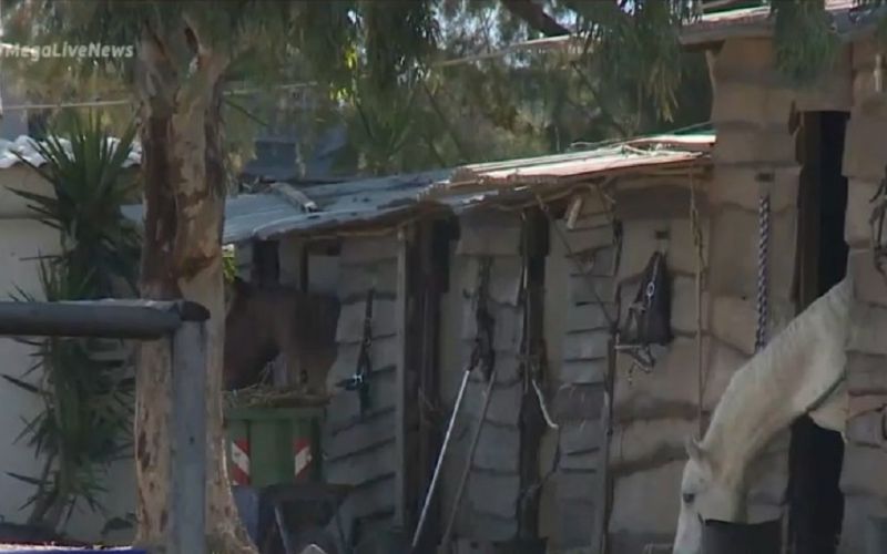 Κορωπί : Νέα στοιχεία για την απόπειρα βιασμού ανήλικης σε σχολή ιππασίας