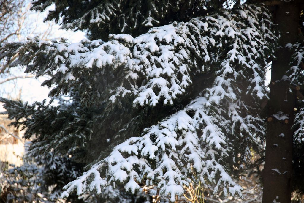 Πού διακόπτεται η κυκλοφορία των οχημάτων λόγω των έντονων χιονοπτώσεων