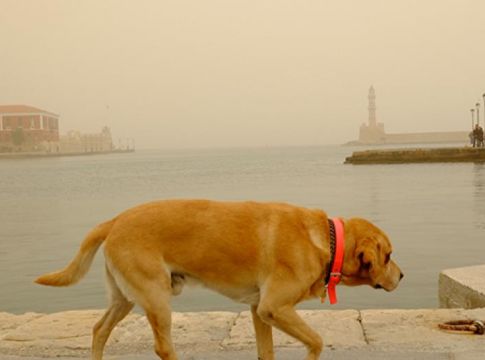 Σκόνη και πολύ υψηλές θερμοκρασίες – Άγγιξε τους 27 βαθμούς το θερμόμετρο στα Χανιά