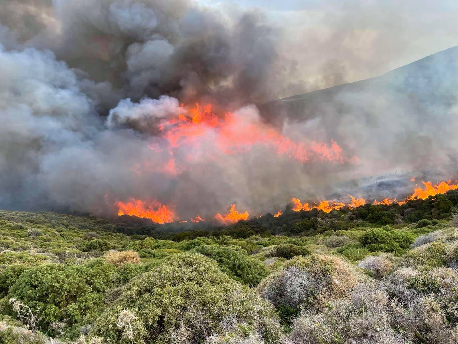 Ενισχύονται οι πυροσβεστικές δυνάμεις στην Άνδρο – Εξαπλώθηκε η φωτιά