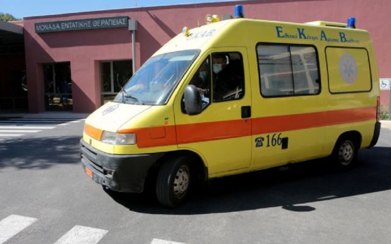 Σοκ στη Λαμία: Τσοπανόσκυλα επιτέθηκαν σε μητέρα και δύο παιδιά