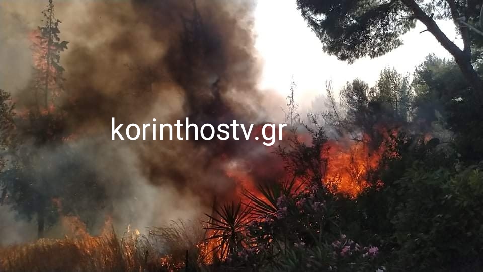 Συναγερμός στην Πυροσβεστική: Επικίνδυνη η φωτιά στα Ίσθμια Κορινθίας – Εκκενώθηκε οικισμός (vids)