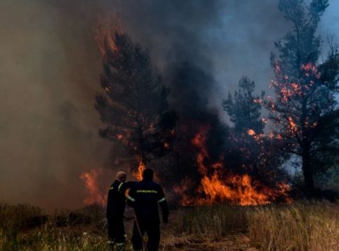 Φωτιά στα Γεράνεια Όρη: Αυτά είναι τα μέτρα ανακούφισης των πληγέντων