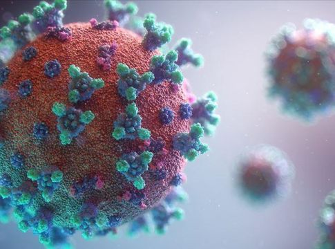 Κορωνοϊός: 2.433 νέα κρούσματα και 50 θάνατοι – Στους 556 οι διασωληνωμένοι