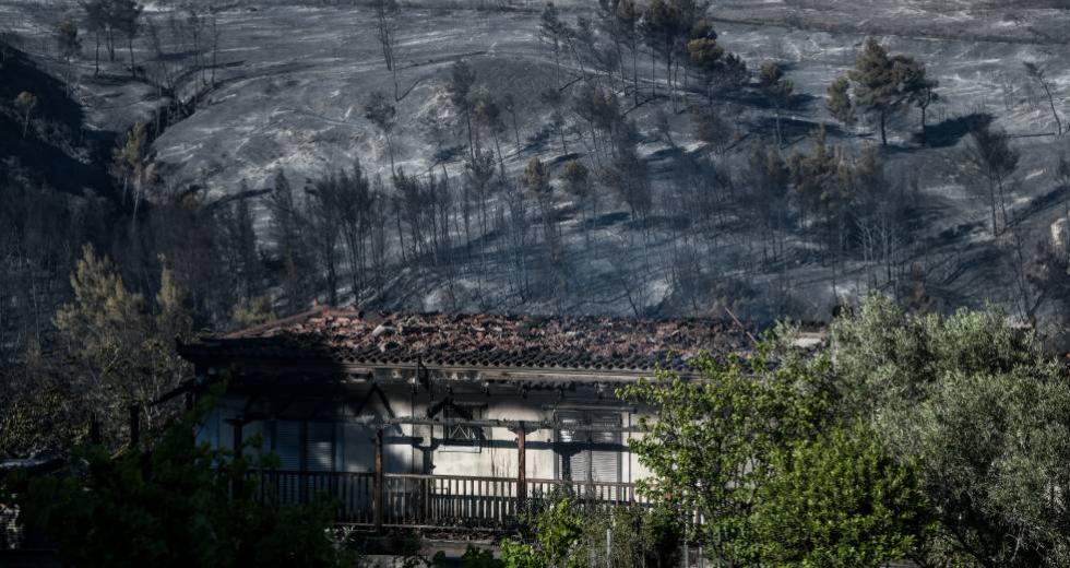 Σε ύφεση η φωτιά στην Κορινθία: Τεράστια οικολογική καταστροφή – Τι λέει ο δήμαρχος Μεγαραίων (vids)