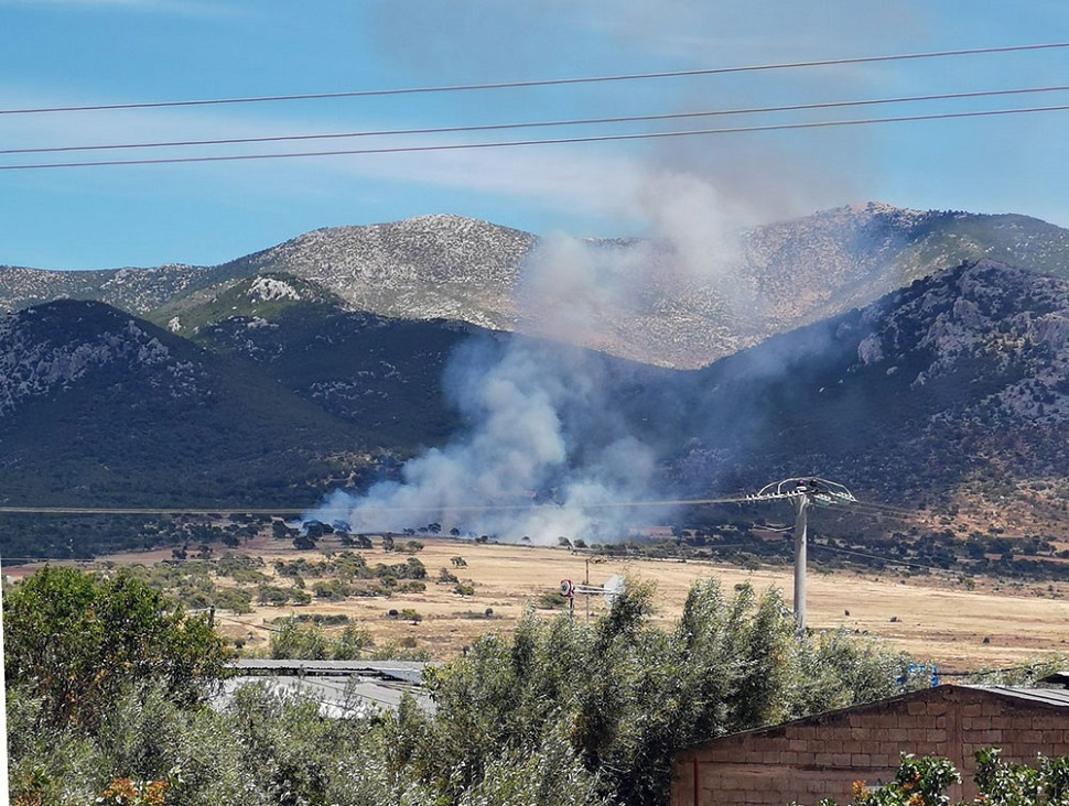 Πυρκαγιά σε δασική έκταση στα Μέγαρα – Επιχειρούν ισχυρές δυνάμεις της Πυροσβεστικής