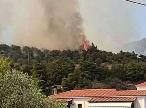 Μεγάλη φωτιά στην Εύβοια, απειλούνται σπίτια – Πυρκαγιά και στην Επίδαυρο