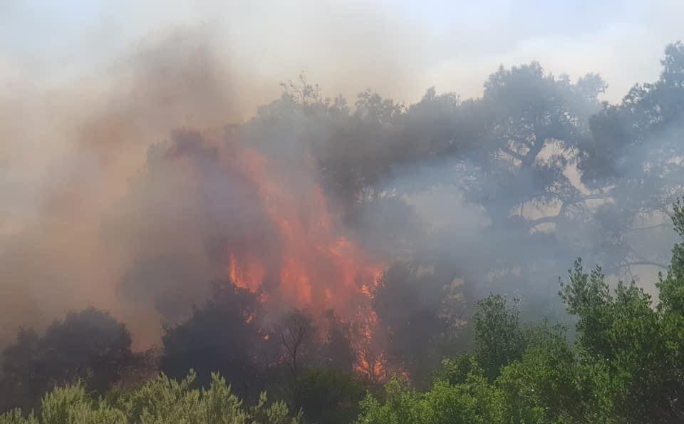 Πολιτική Προστασία: Πολύ υψηλός κίνδυνος πυρκαγιάς την Κυριακή – Ποιες περιοχές μπήκαν στην κατηγορία 4