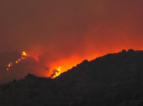 Φωτιά στην Κύπρο: Ολονύχτια μάχη με τις φλόγες – Τεράστια καταστροφή