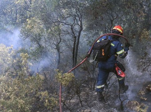 Μάχη με τις φλόγες στο Καλέντζι Κορινθίας – Μεγάλη κινητοποίηση της Πυροσβεστικής