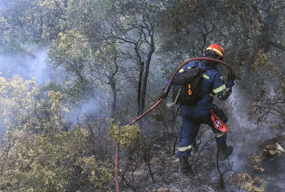 Μάχη με τις φλόγες στο Καλέντζι Κορινθίας – Μεγάλη κινητοποίηση της Πυροσβεστικής