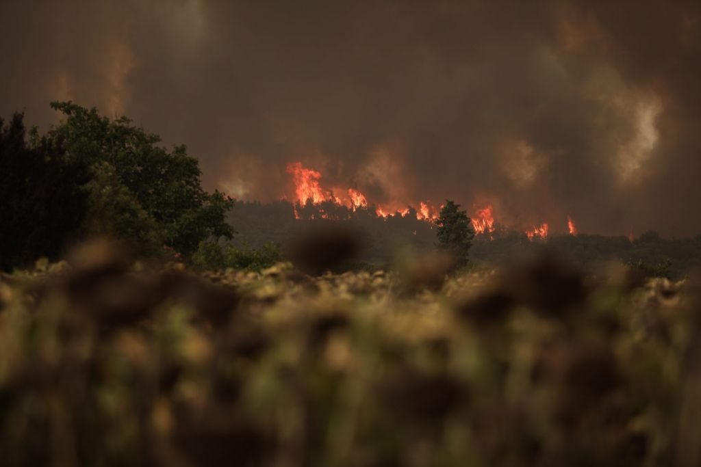 Πύρινη κόλαση – Εκτός ελέγχου οι φωτιές σε Αττική, Εύβοια, Ηλεία, Μεσσηνία, Φωκίδα