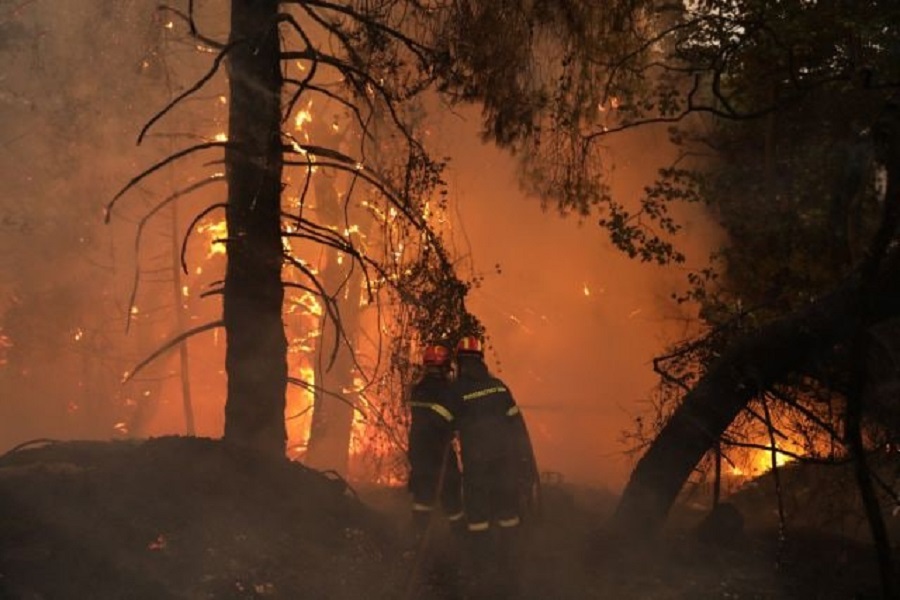 Μαλακάσα – Οι φλόγες πέρασαν την εθνική προς Ωρωπό – Εκκενώνονται περιοχές
