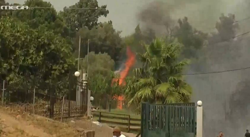 Κόλαση φωτιάς στη Νεμούτα Ηλείας – Οι φλόγες μπαίνουν στο χωριό – Δραματική έκκληση κατοίκων